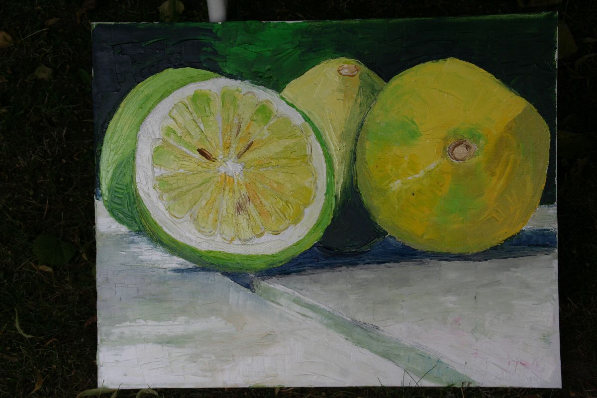 Pleinair in Dänemark in der Künstlerkommune Sofienberg